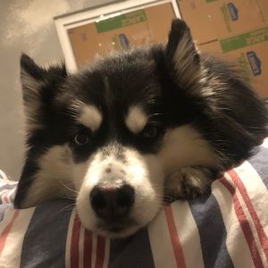 Meet your Posher, Vanessa